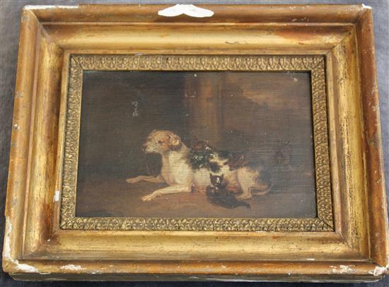 Early 19th century English School A hound nursing fox cubs, 5.25 x 8in.